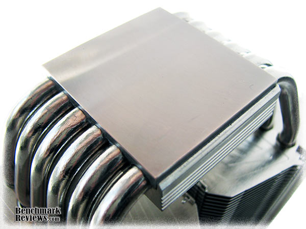 Prolimatech_Megalems_Base.jpg