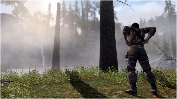 Ubisoft AC3 Graphics Shadows Tearing