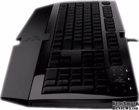 Razer Arctosa, side view
