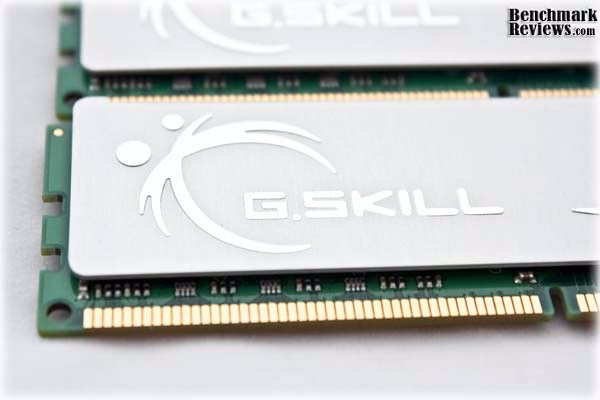 GSkill ECO Logoview
