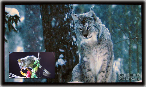 SOYO MT-SYXRT4791AB 47-Inch LCD 1080p Widescreen HDTV Performance Review