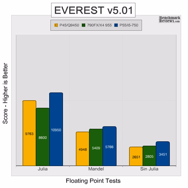 Intel dp55kg Everest Fpu