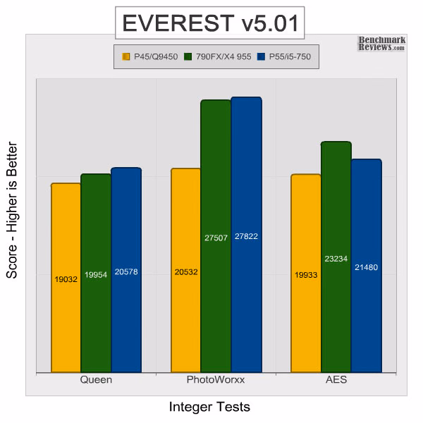 Intel dp55kg Everest Integer