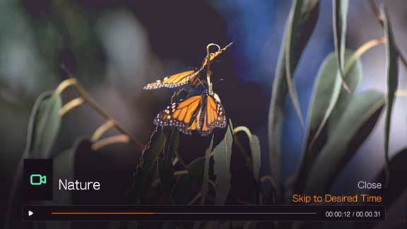 WD TV Live Media Player Menu Playback Panel