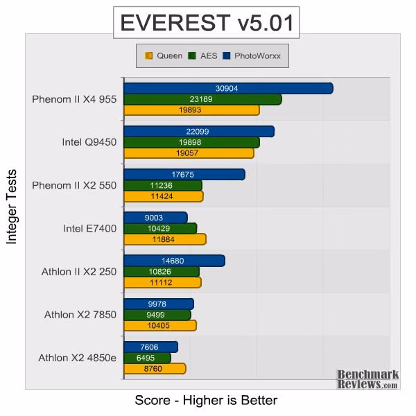 Athlon II x2 250 Everest Integer